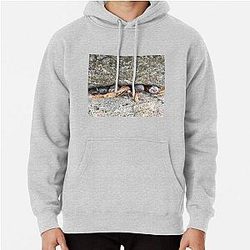 Pebbles and Seeds in a Crevasse Between Two Rocks Pullover Hoodie RB0301