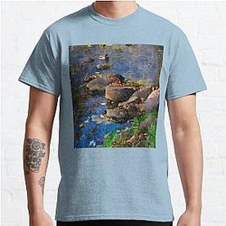 Arc of Rocks in a Creek Classic T Shirt RB0301