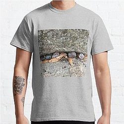 Pebbles and Seeds in a Crevasse Between Two Rocks Classic T Shirt RB0301