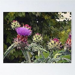 Artichoke Flower Painting Poster RB0301