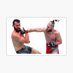 Jiri Prochazka vs Dominic Reyes