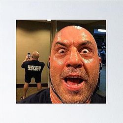 Micro Joe Rogan  Poster