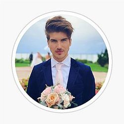Joey Graceffa Flowers Sticker