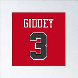 Josh Giddey Bulls Poster