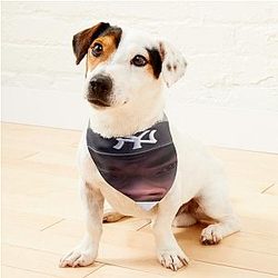 Schlatt Pet Bandanas Premium Merch Store
