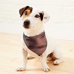 Jschlatt Big Guy Pet Bandanas Premium Merch Store