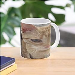 Schlatt And His Cat 2 Mug Premium Merch Store