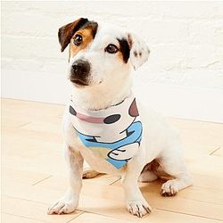 Jschlatt Merch Jschlatt Plushie Rainbow Flag Pet Bandanas Premium Merch Store