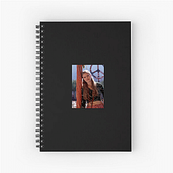Julia Stiles' breakout role was in 10 Things I Hate About You Julia Stiles Notebook