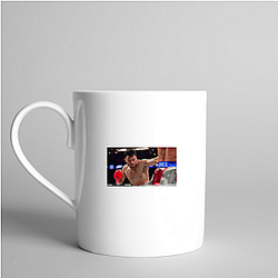Fight On Jr Julio Cesar Chavez Jr Mugs