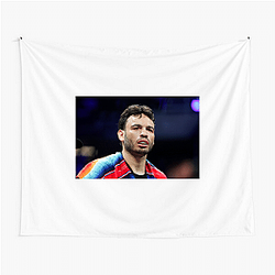 Chavez Fight Mode Julio Cesar Chavez Jr Tapestries