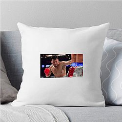 Fight On Jr Julio Cesar Chavez Jr Pillows Cover