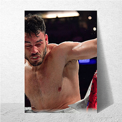 Fight On Jr Julio Cesar Chavez Jr Posters