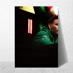 Chavez Jr Punchline Julio Cesar Chavez Jr Posters