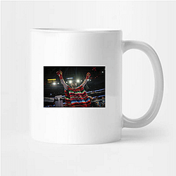 Chavez Jr Champion Julio Cesar Chavez Jr Mugs