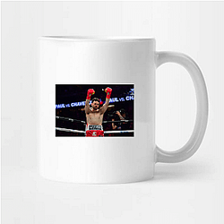 Chavez Jr Knockout Julio Cesar Chavez Jr Mugs