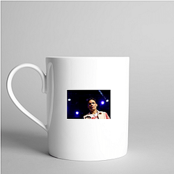 Ring King Chavez Jr Julio Cesar Chavez Jr Mugs