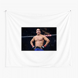 Junior dos Santos Merchandise For Fans Junior Dos Santos Tapestries