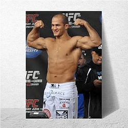 Junior dos Santos Merch Collection Junior Dos Santos Posters