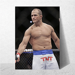 Junior dos Santos Merch For Fans Junior Dos Santos Posters