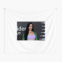 Genre Bridger Kacey Musgraves Tapestries