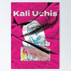 Kali Uchis in Pink Poster