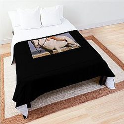 Kali uchis album classic Comforter