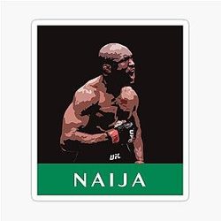 Kamaru Usman - The Nigerian Nightmare