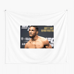 Kevin Lee Limited Collection Kevin Lee Tapestries