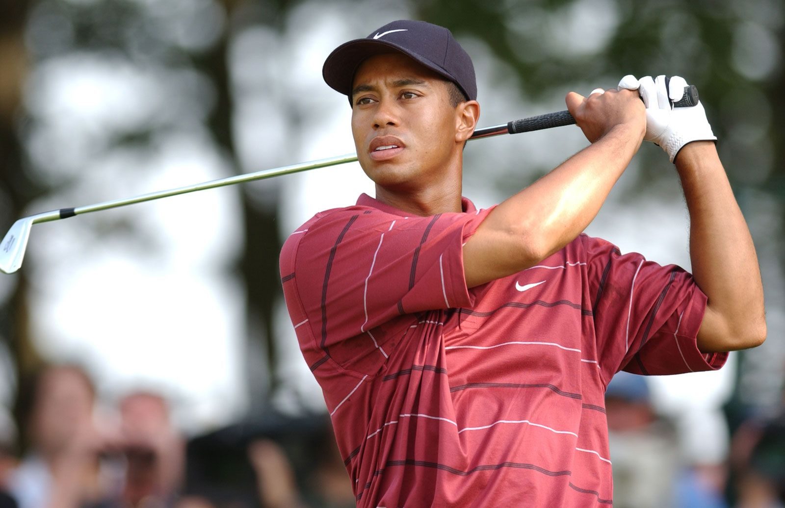 Tiger Woods Official Shop: Must-Have Gear for Every Golfer