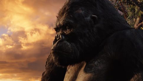 King Kong Official Shop: Inside the Cinematic Merch Vault