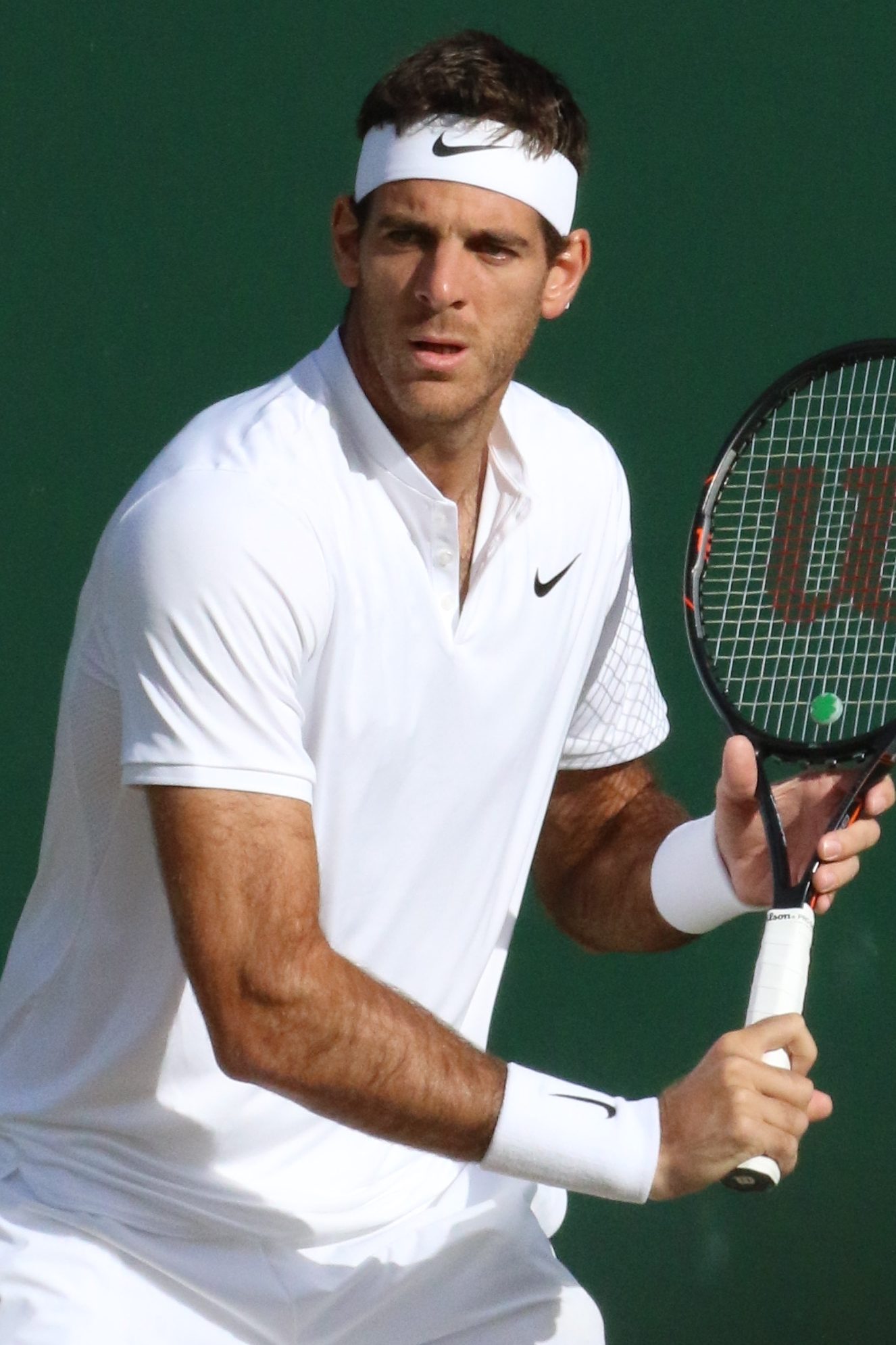 Juan Martin Del Potro Official Merch: Top Tennis Fan Picks