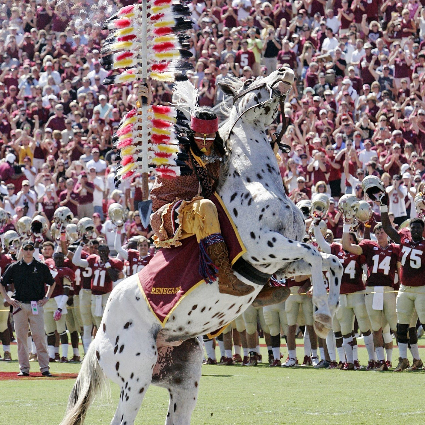 Florida State Seminoles Shop: Gear Up for Gridiron Glory