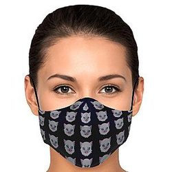 Kimetsu no Yaiba Face Mask- Inosuke Pattern  Premium Carbon Filter Face Mask Demon Slayer Store