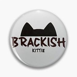 Kittie Band Pin