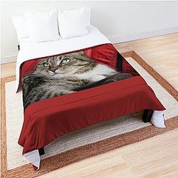 Kittie Kittie Kittie!  Comforter