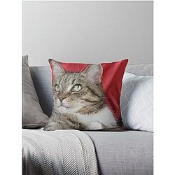 Kittie Kittie Kittie!  Throw Pillow
