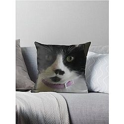 Sugar Kittie II Throw Pillow