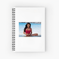 Krista Allen is famous for her guest TV roles Krista Allen Notebook