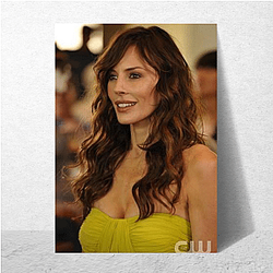 Krista Allen also works as a stand-up comedian Krista Allen Posters