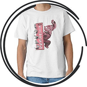 Kung Fu Panda T-Shirts