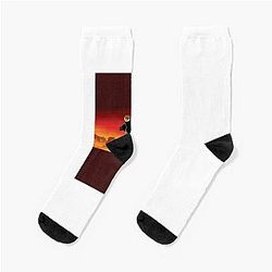 Kung Fu Panda Po Notebook Socks