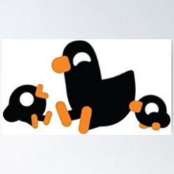 Kurzgesagt Birds Poster RB0111