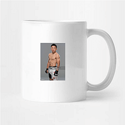 Japanese Warrior Kyoji Horiguchi Mugs