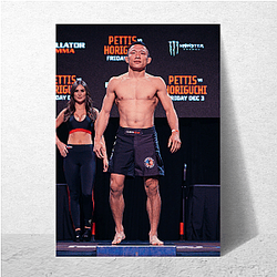 Octagon Veteran Kyoji Horiguchi Posters