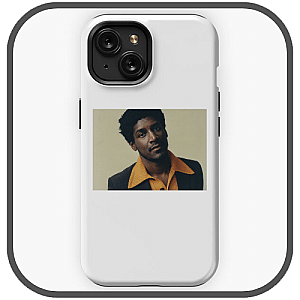 Labrinth Cases