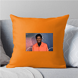 Labrinth Layers Labrinth Pillows Cover