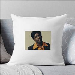 Labrinth Crafted Labrinth Pillows Cover