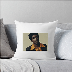 Labrinth Crafted Labrinth Pillows Cover