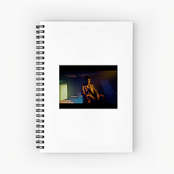 Labrinth Vibes Labrinth Notebook